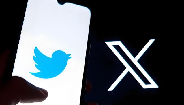 X Campaign Report Template: Likes, Reposts, Clicks and Website Results
